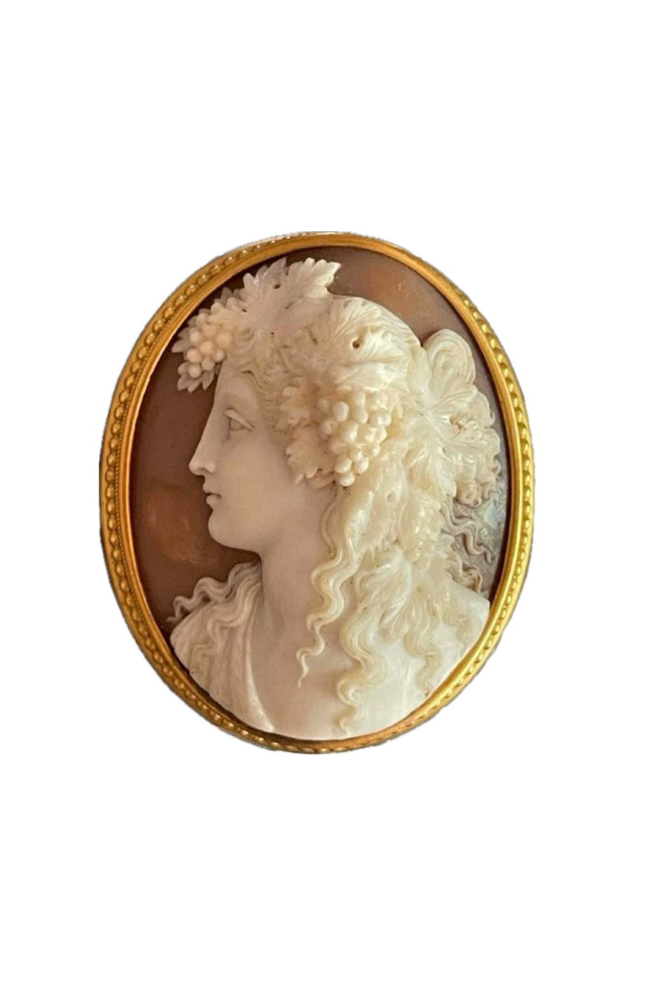 <?php echo get_the_title(); ?>