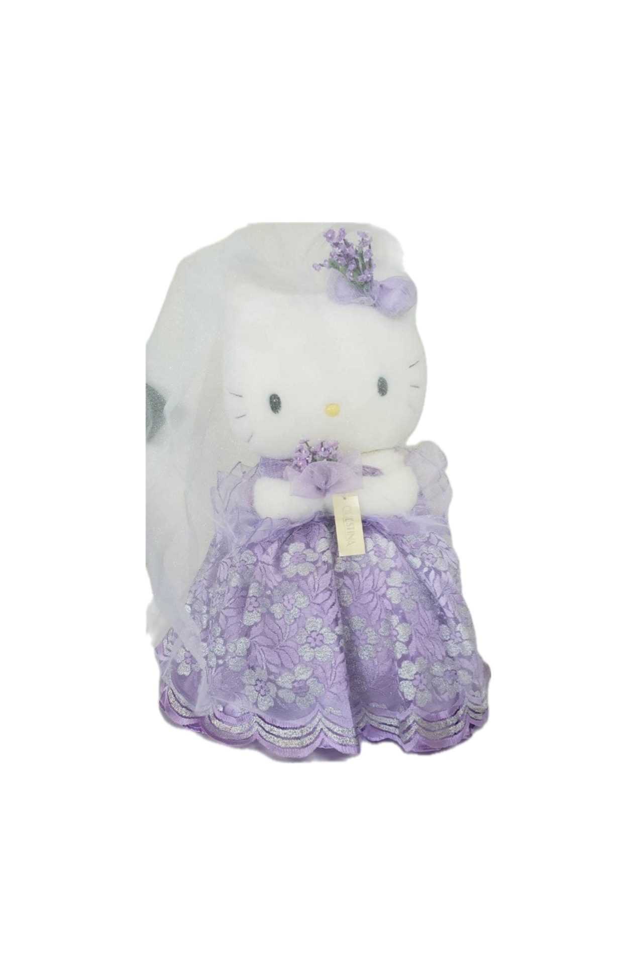 <?php echo get_the_title(); ?>