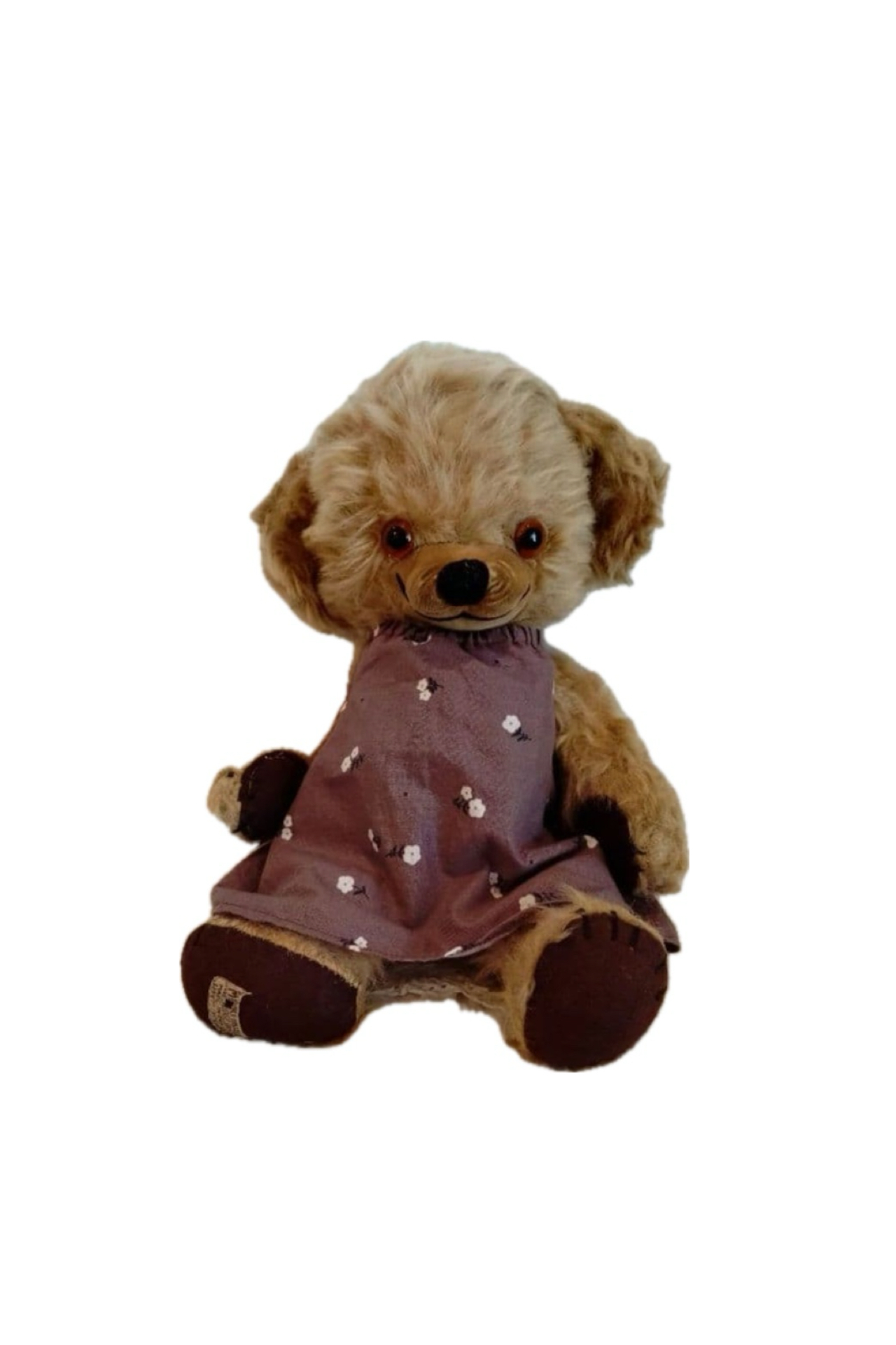 <?php echo get_the_title(); ?>