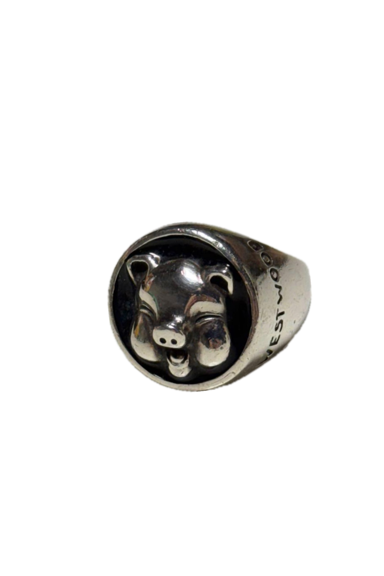 <?php echo get_the_title(); ?>