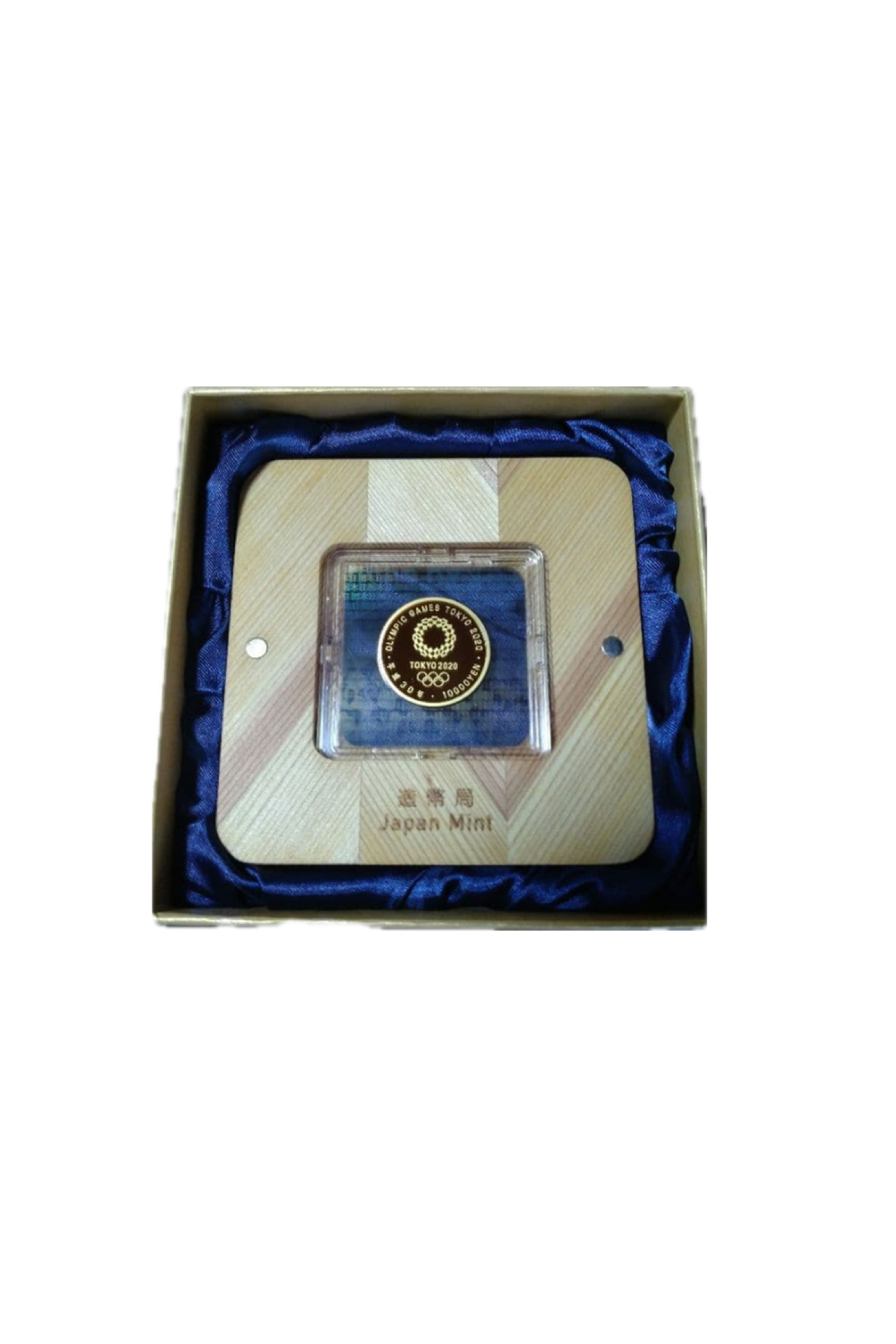 <?php echo get_the_title(); ?>