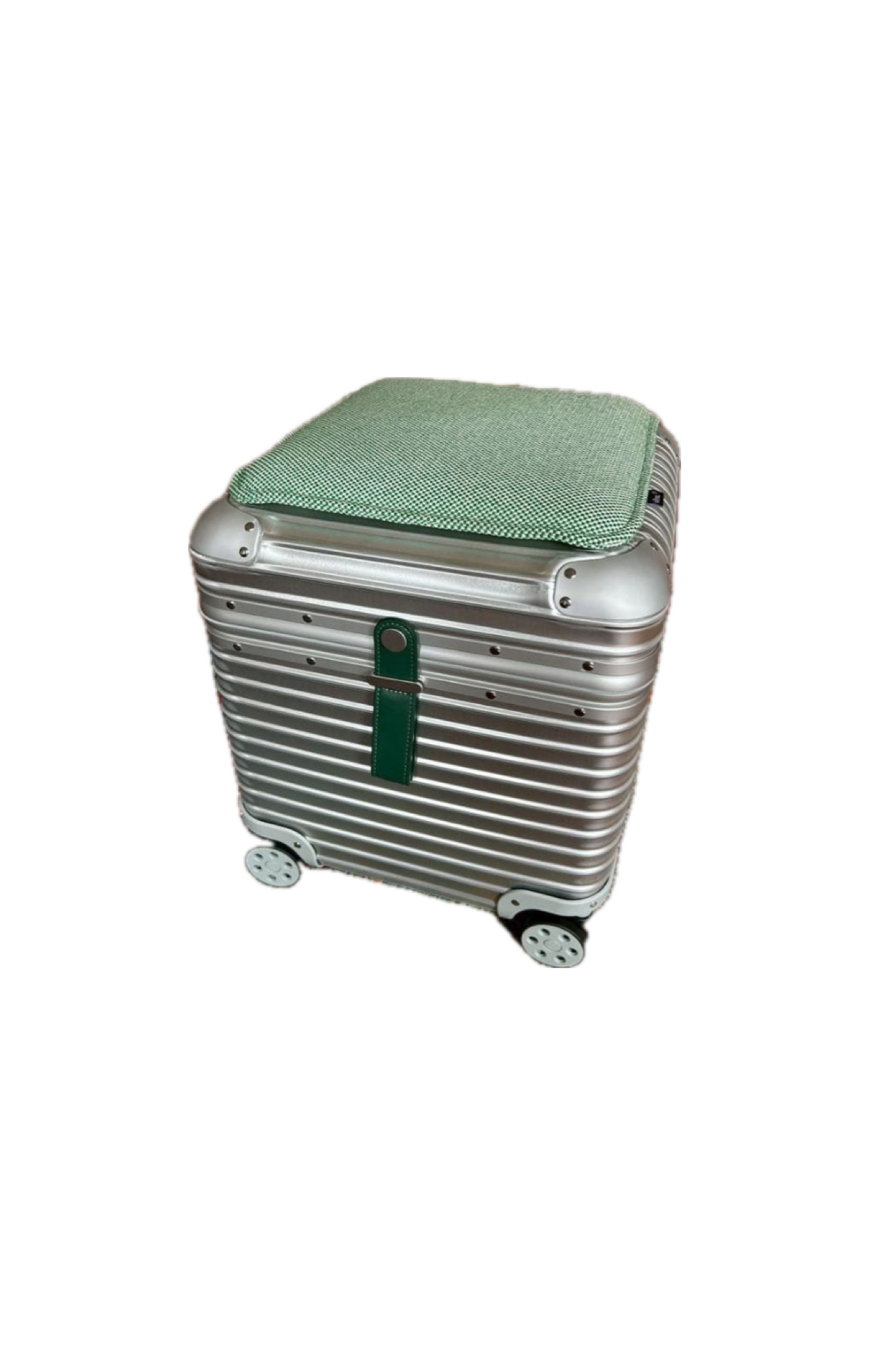 <?php echo get_the_title(); ?>