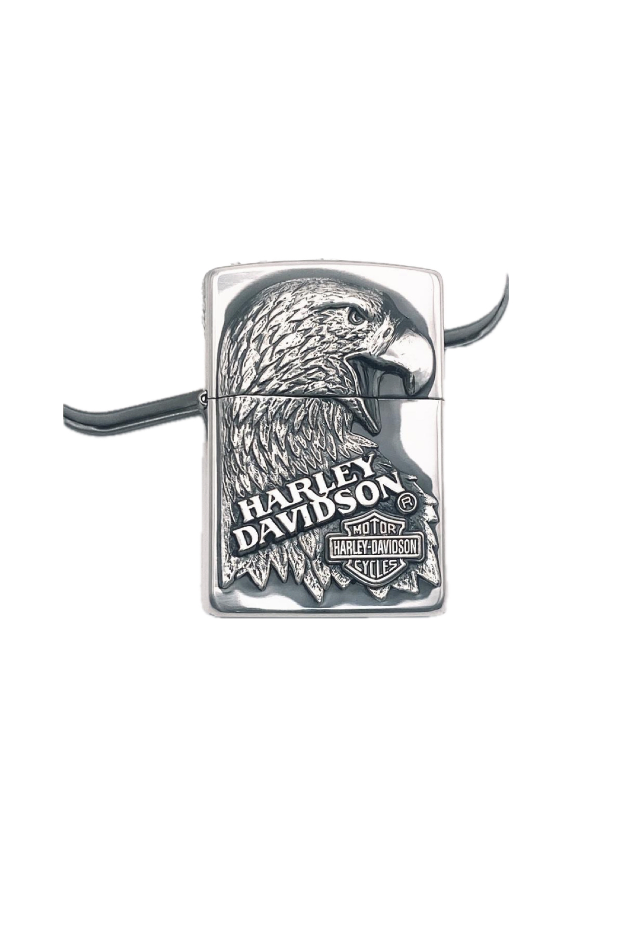 <?php echo get_the_title(); ?>