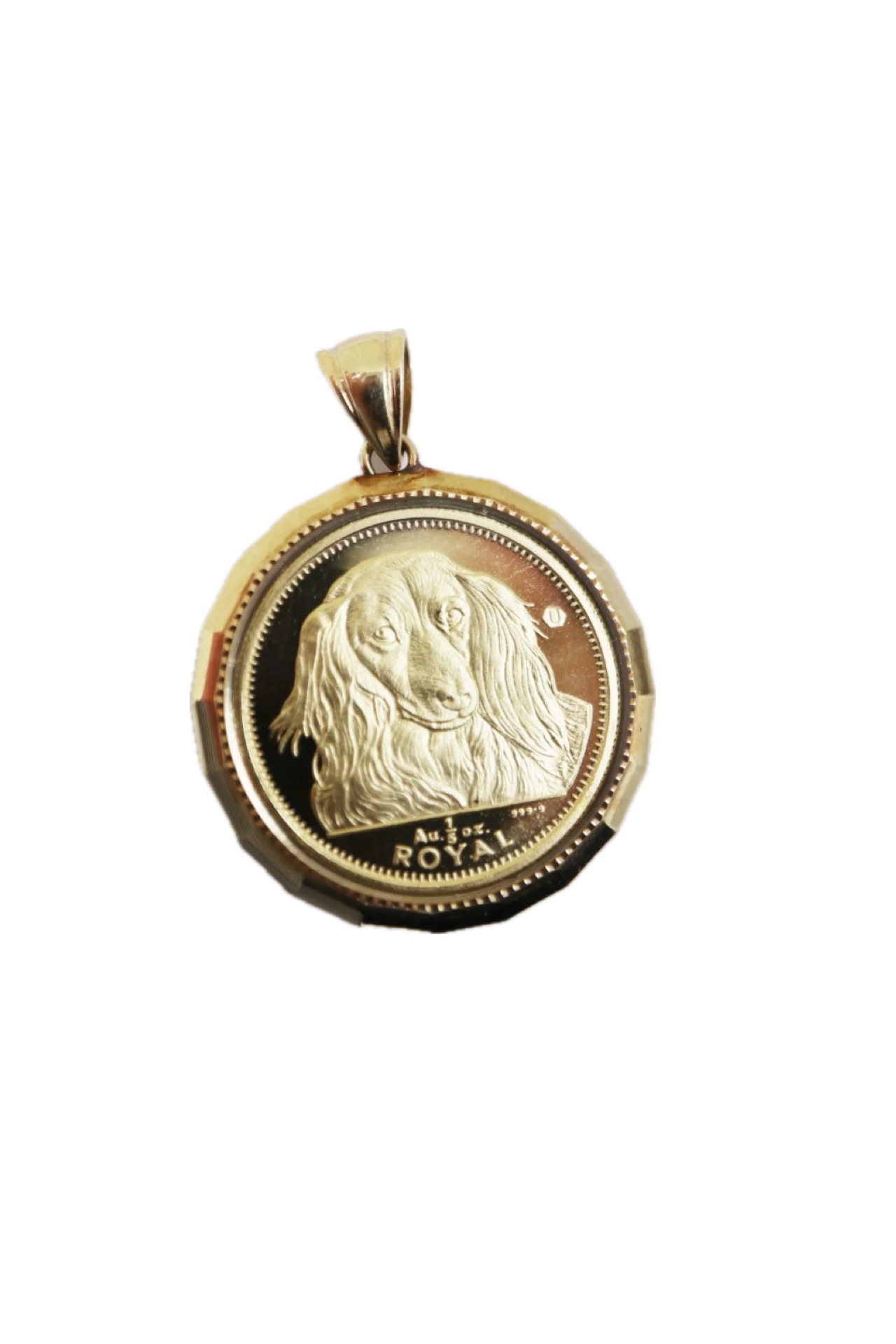 <?php echo get_the_title(); ?>