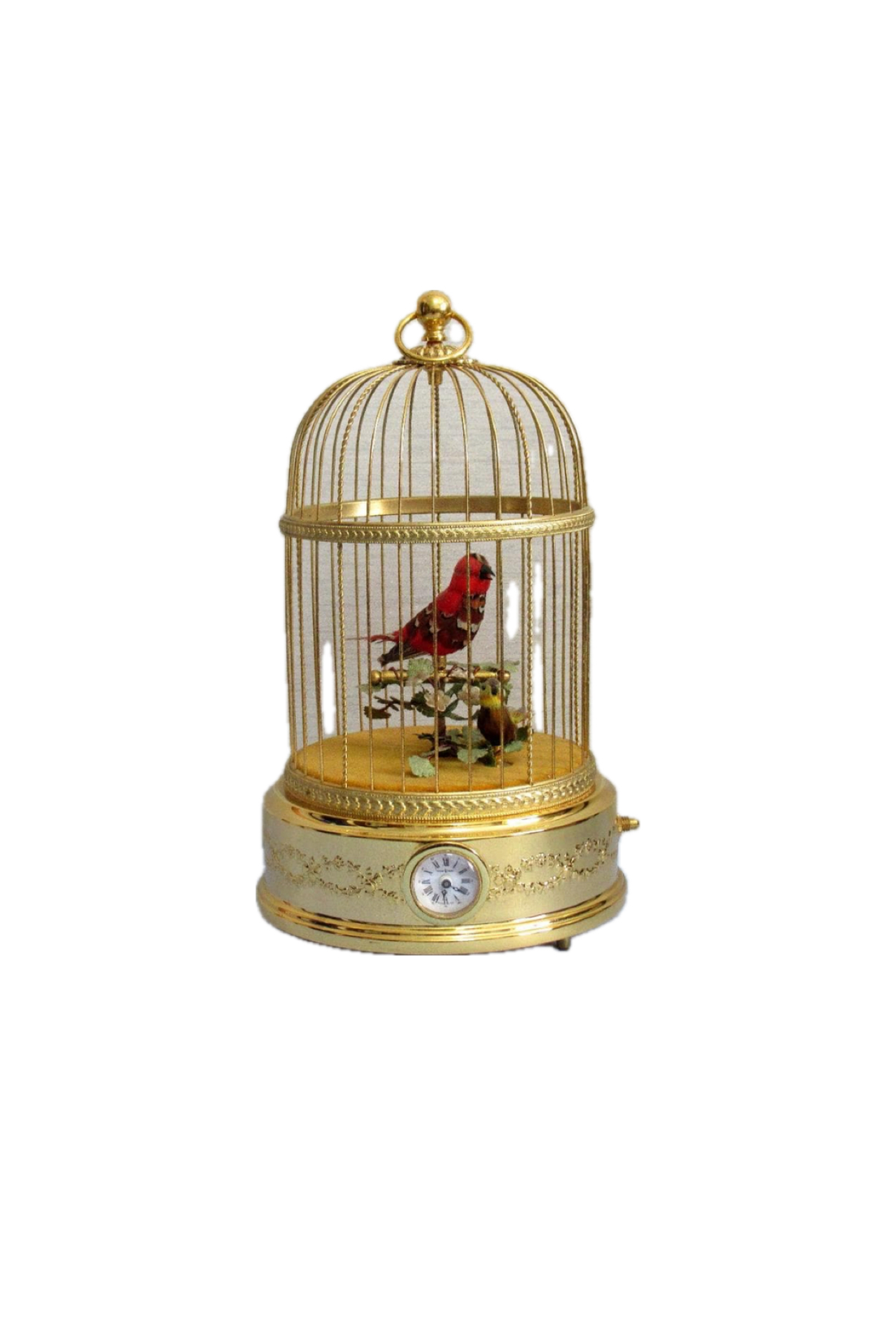 <?php echo get_the_title(); ?>